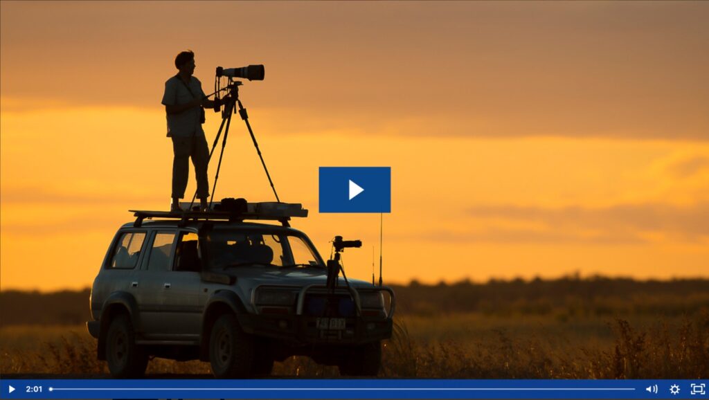 Bird Photography Masterclass with Tim Laman